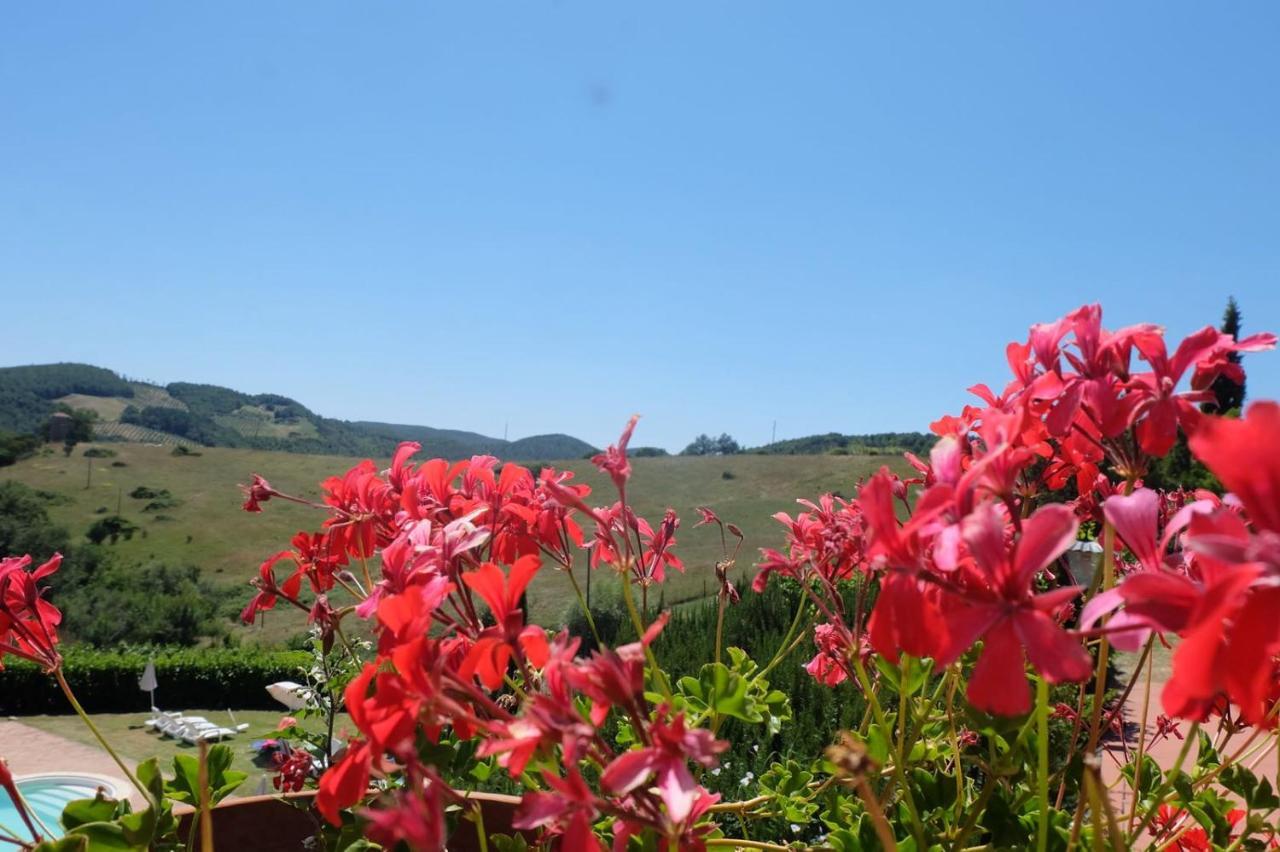 Country House La Collina Di Bargiano - Casa Raffaella 알레로나 외부 사진