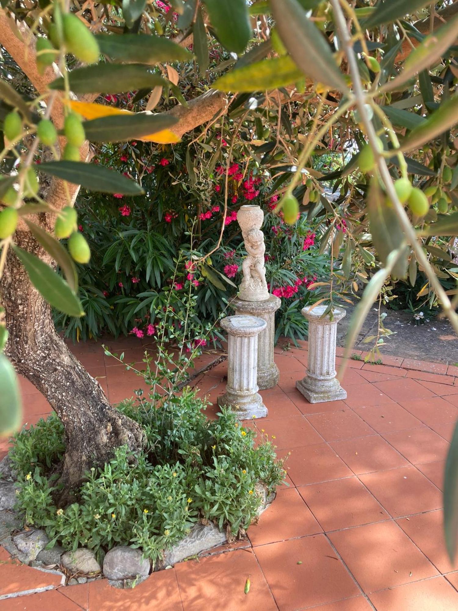 Country House La Collina Di Bargiano - Casa Raffaella 알레로나 외부 사진
