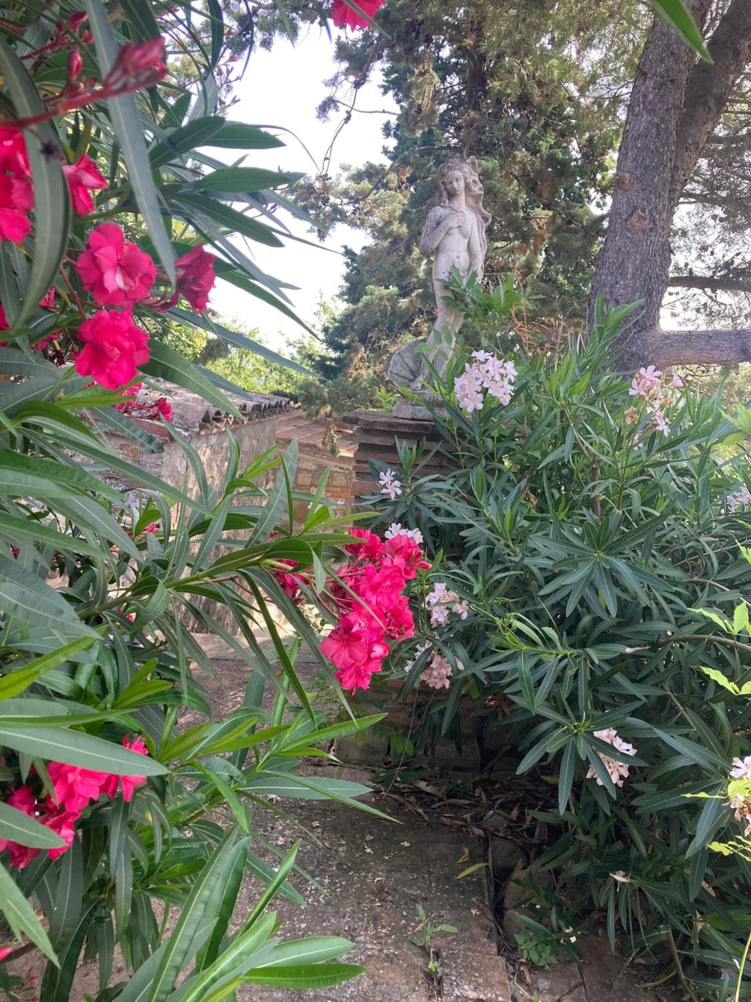 Country House La Collina Di Bargiano - Casa Raffaella 알레로나 외부 사진