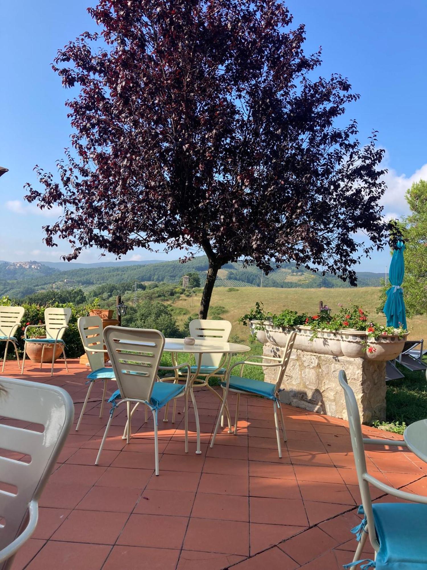 Country House La Collina Di Bargiano - Casa Raffaella 알레로나 외부 사진
